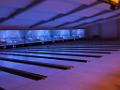 Bowling 2010